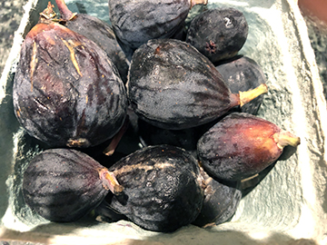 figs